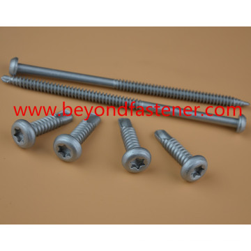 Roofing Screw Ruspert Screw Tek Screw Buildex Screw